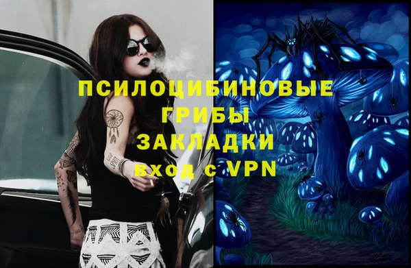 ешки Горно-Алтайск