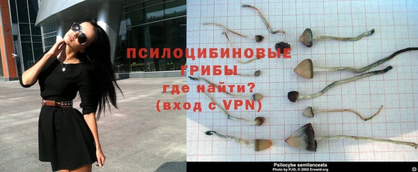 ALPHA-PVP Горняк