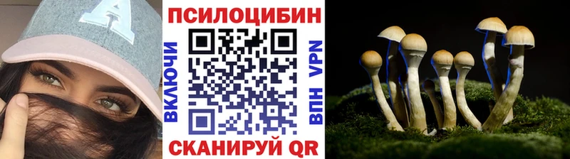 Псилоцибиновые грибы GOLDEN TEACHER  Железногорск 