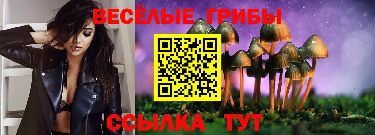 Железногорск  Псилоцибиновые грибы Psilocybine cubensis  Вход с VPN  Галлюциногенные грибы мицелий 
